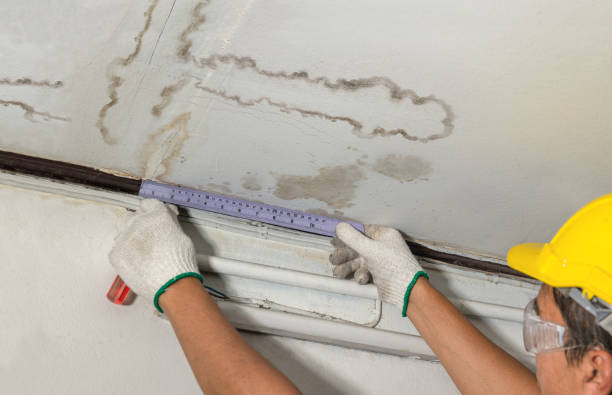 Reliable Sewage Cleanup contractor in Watchung, NJ by Water Damage Irwin